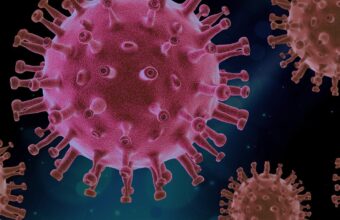 virus-4937553_1280